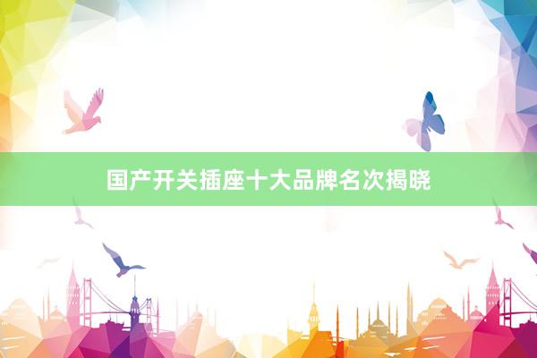 国产开关插座十大品牌名次揭晓
