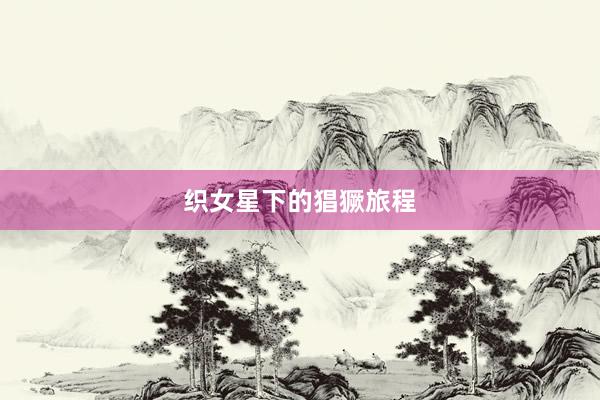 织女星下的猖獗旅程