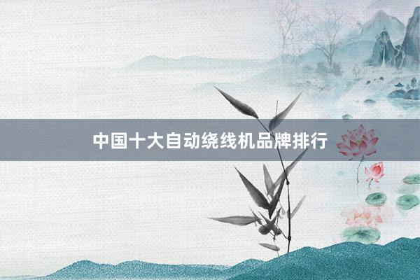 中国十大自动绕线机品牌排行