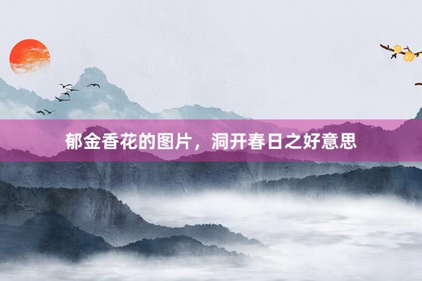 郁金香花的图片，洞开春日之好意思